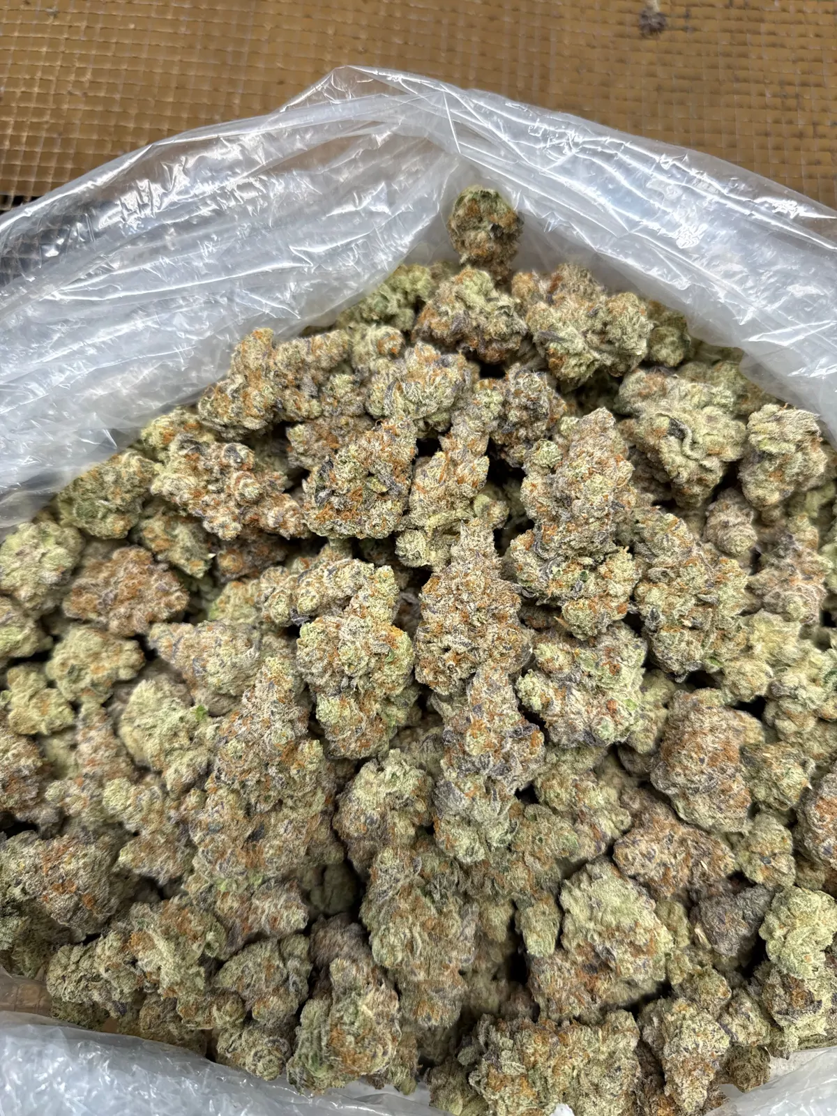 Frosted Guava Flower